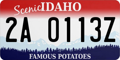 ID license plate 2A0113Z