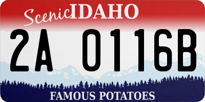 ID license plate 2A0116B