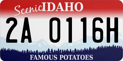 ID license plate 2A0116H