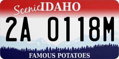 ID license plate 2A0118M