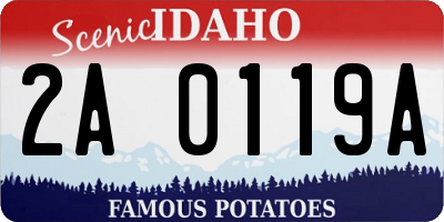 ID license plate 2A0119A
