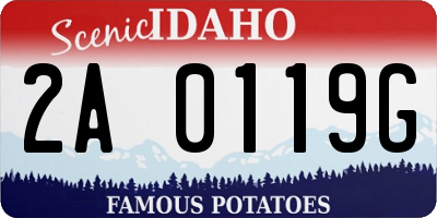 ID license plate 2A0119G
