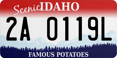 ID license plate 2A0119L