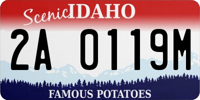 ID license plate 2A0119M
