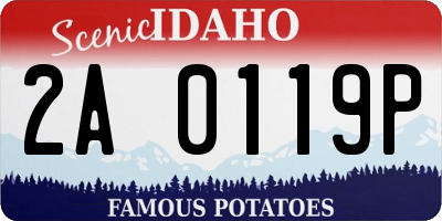 ID license plate 2A0119P