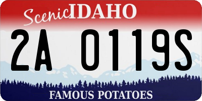ID license plate 2A0119S