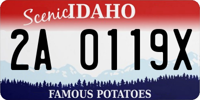 ID license plate 2A0119X