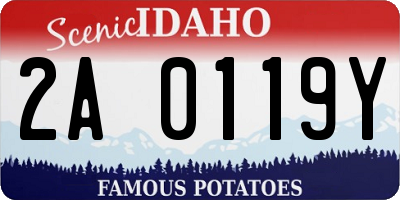 ID license plate 2A0119Y