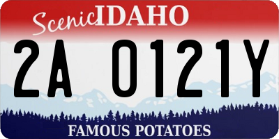 ID license plate 2A0121Y