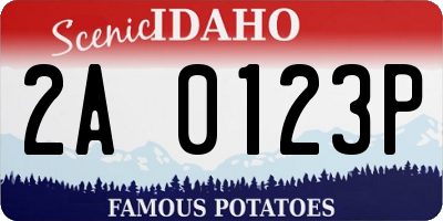 ID license plate 2A0123P