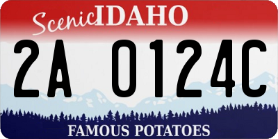 ID license plate 2A0124C