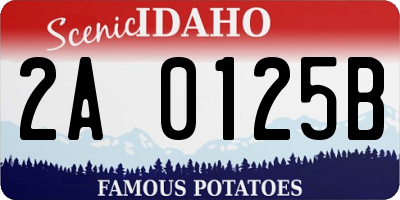 ID license plate 2A0125B