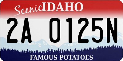 ID license plate 2A0125N