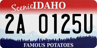 ID license plate 2A0125U