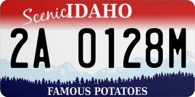 ID license plate 2A0128M
