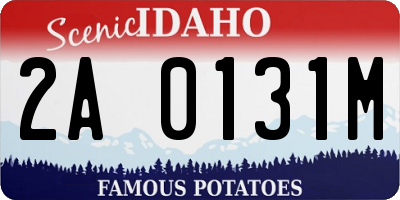 ID license plate 2A0131M