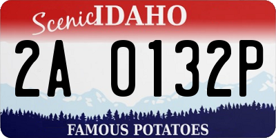 ID license plate 2A0132P