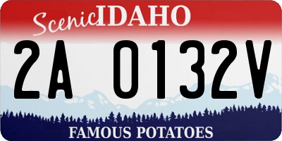 ID license plate 2A0132V