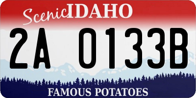 ID license plate 2A0133B