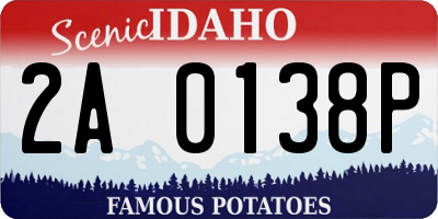 ID license plate 2A0138P