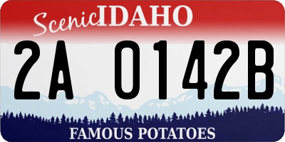 ID license plate 2A0142B