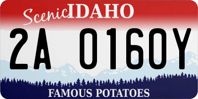 ID license plate 2A0160Y
