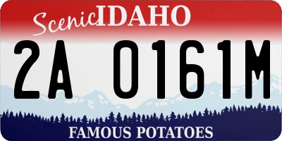 ID license plate 2A0161M