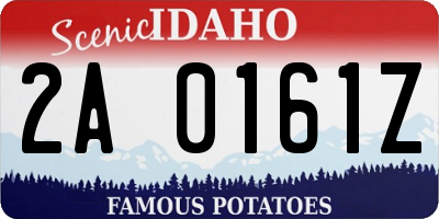 ID license plate 2A0161Z