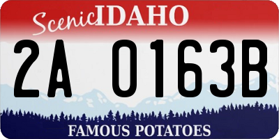 ID license plate 2A0163B