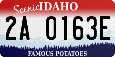 ID license plate 2A0163E