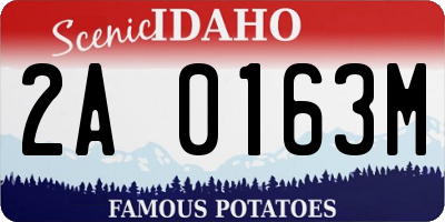 ID license plate 2A0163M