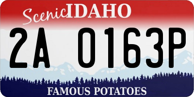 ID license plate 2A0163P