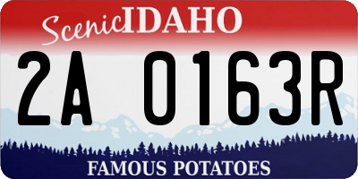 ID license plate 2A0163R