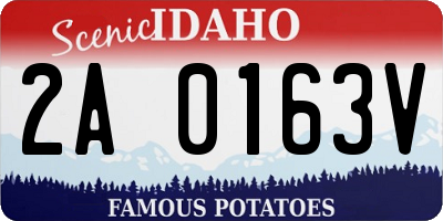ID license plate 2A0163V