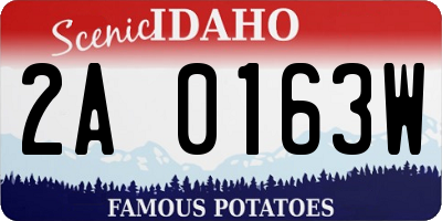 ID license plate 2A0163W