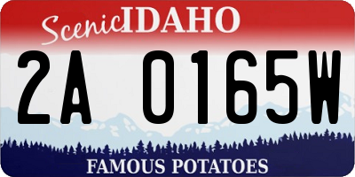 ID license plate 2A0165W