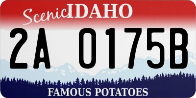 ID license plate 2A0175B