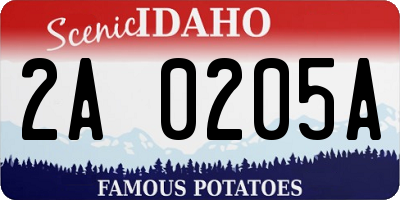 ID license plate 2A0205A