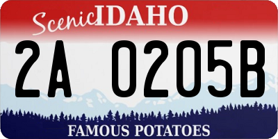 ID license plate 2A0205B