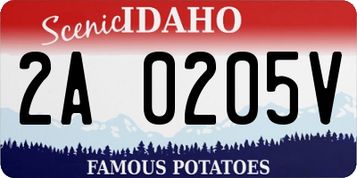 ID license plate 2A0205V
