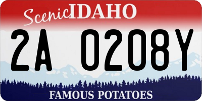 ID license plate 2A0208Y
