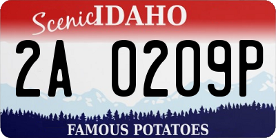 ID license plate 2A0209P