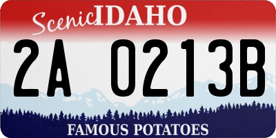 ID license plate 2A0213B