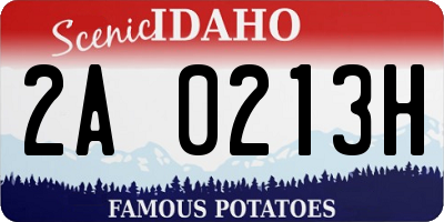 ID license plate 2A0213H