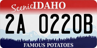 ID license plate 2A0220B
