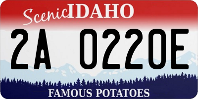 ID license plate 2A0220E