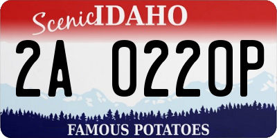 ID license plate 2A0220P