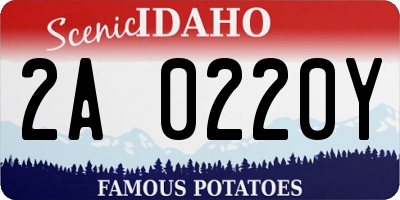 ID license plate 2A0220Y