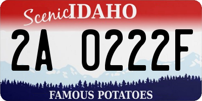 ID license plate 2A0222F