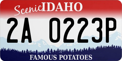 ID license plate 2A0223P